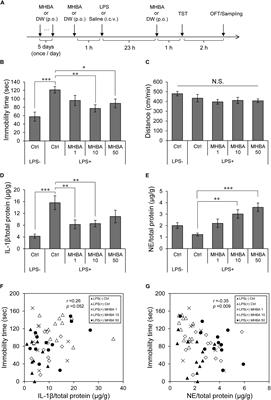 Matured Hop Bitter Acids in Beer Improve Lipopolysaccharide-Induced Depression-Like Behavior